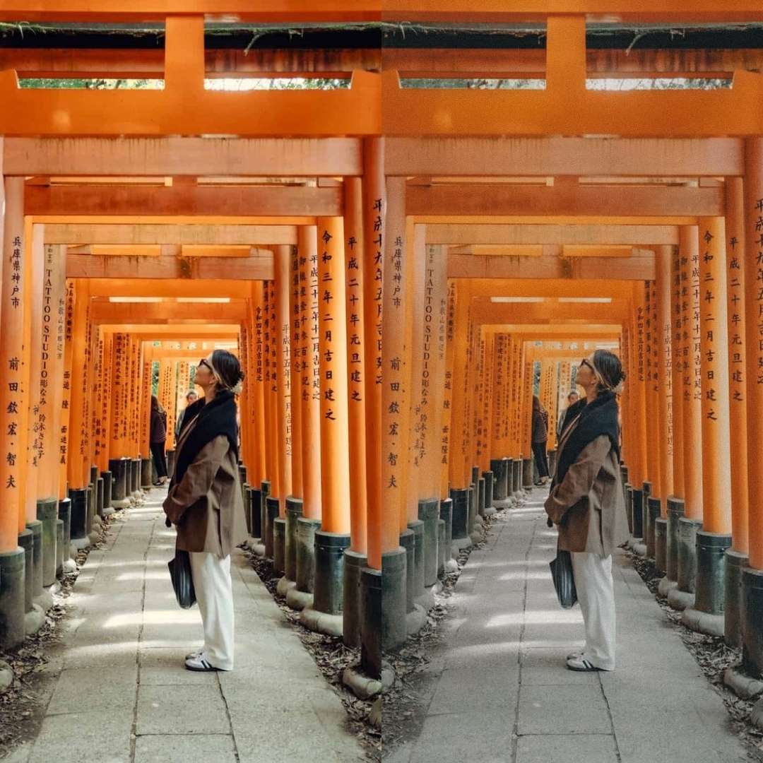 PORTRA FILM - ArtistryTone