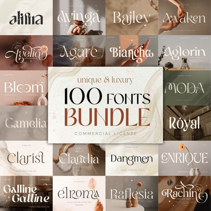 [BONUS] 100 Premium Font Bundle – Perfect for UMKM & Content Creator