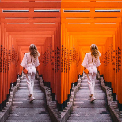 FUJI FILM - ArtistryTone