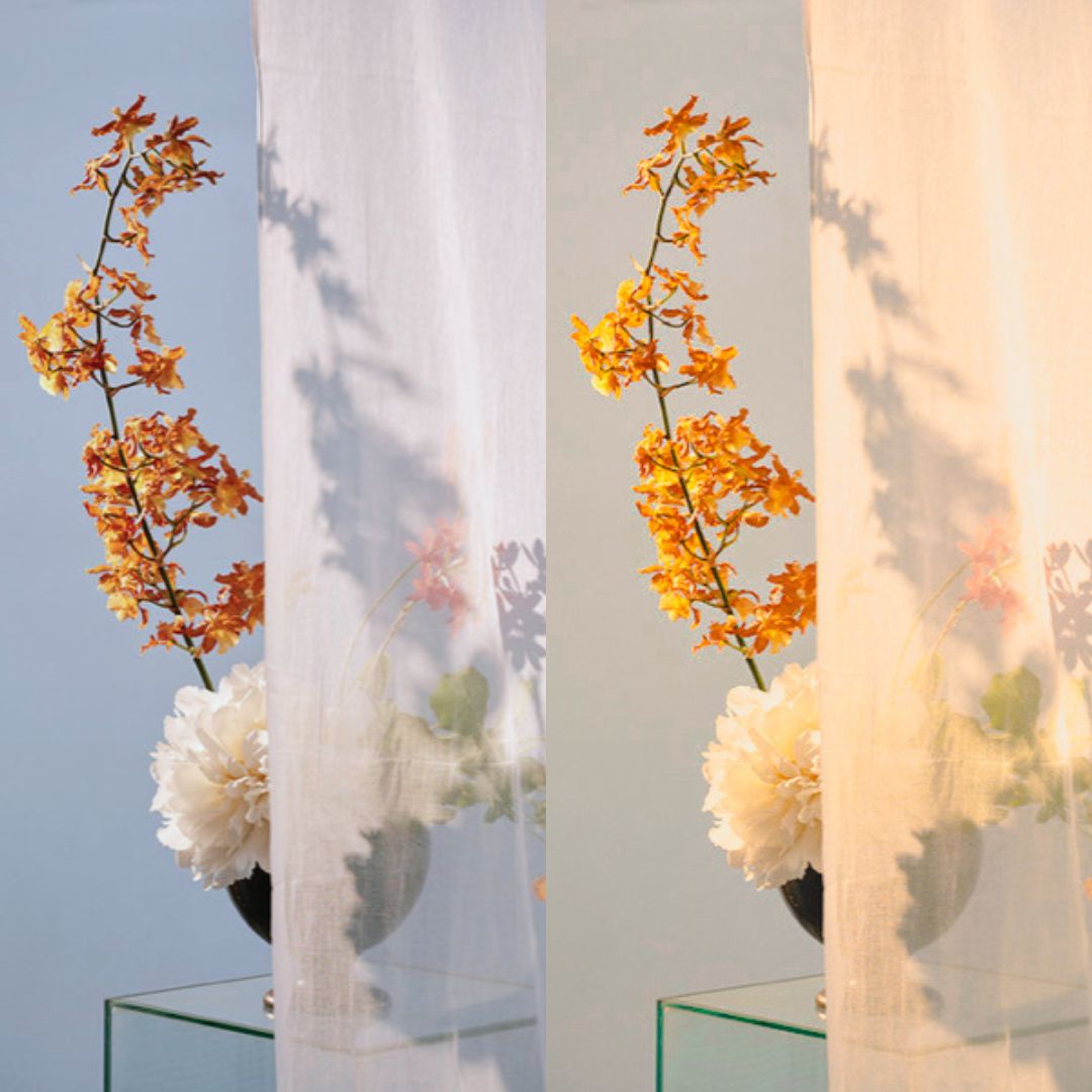 MIDSUMMER - ArtistryTone