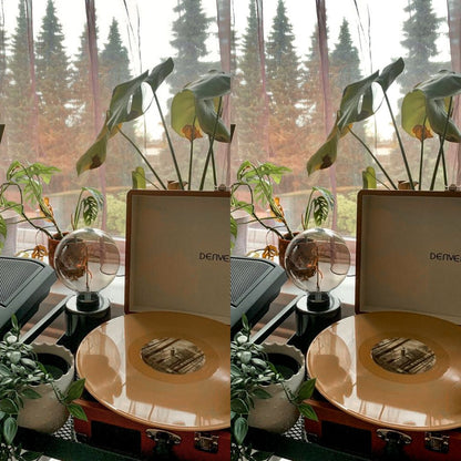 OLD MONEY - ArtistryTone