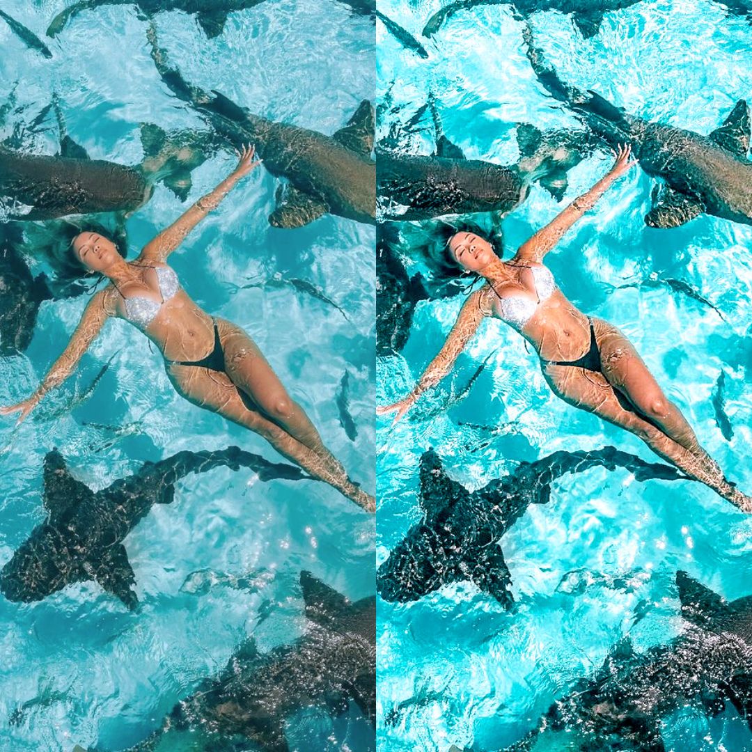 SUMMER VIBES - ArtistryTone