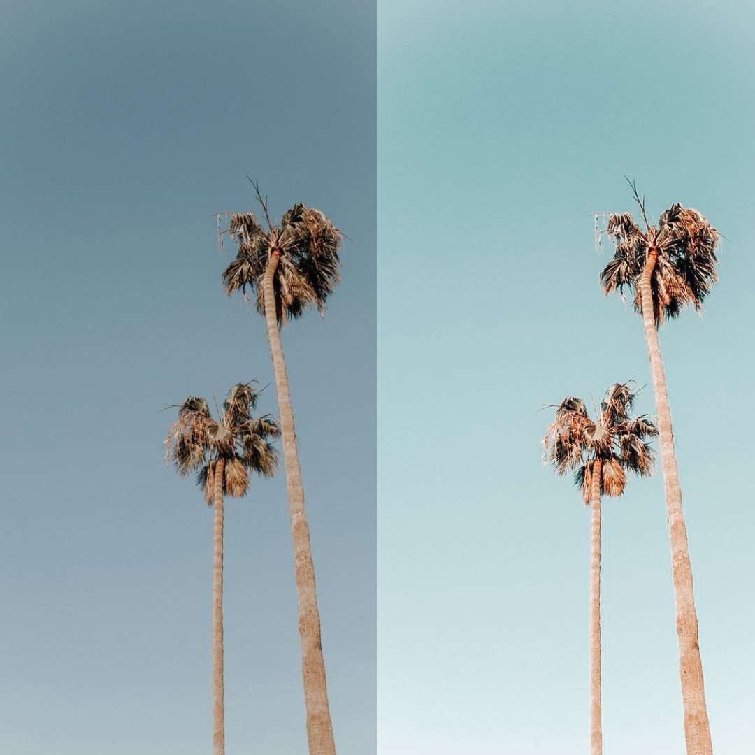 SUNBURST - ArtistryTone