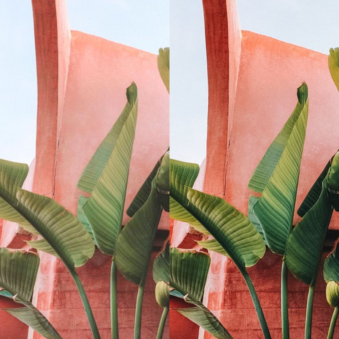 VIBRANT SUMMER - ArtistryTone