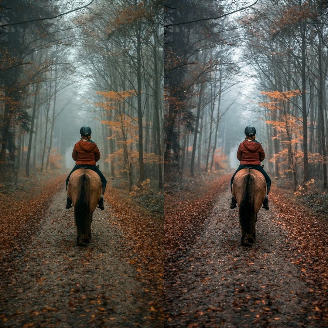 WANDERLUST - ArtistryTone