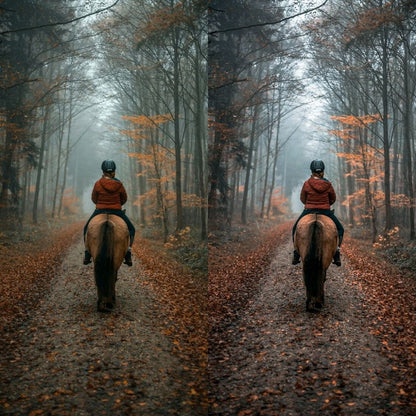 WANDERLUST - ArtistryTone