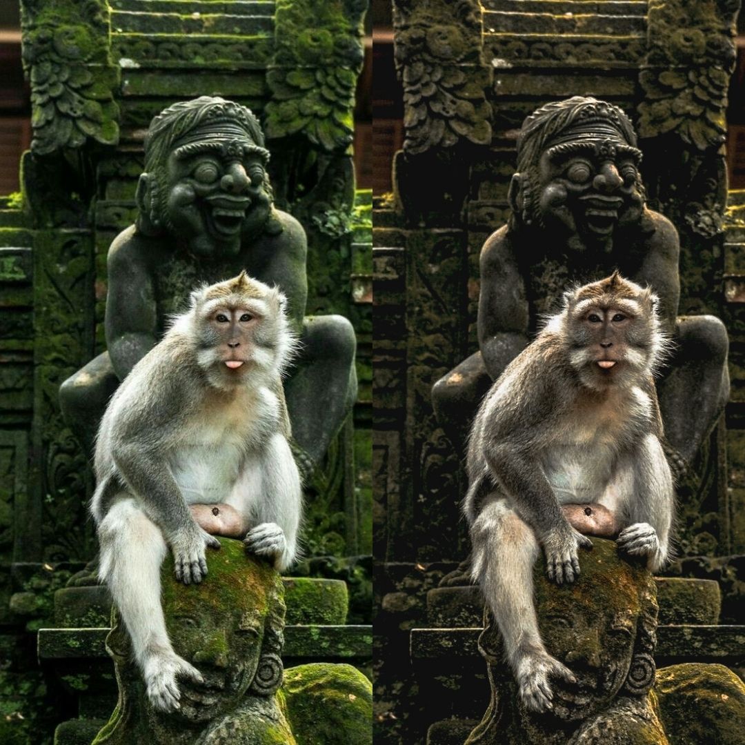 WANDERLUST - ArtistryTone