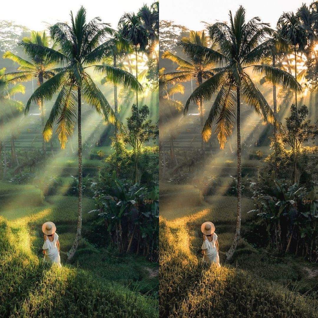 WANDERLUST - ArtistryTone