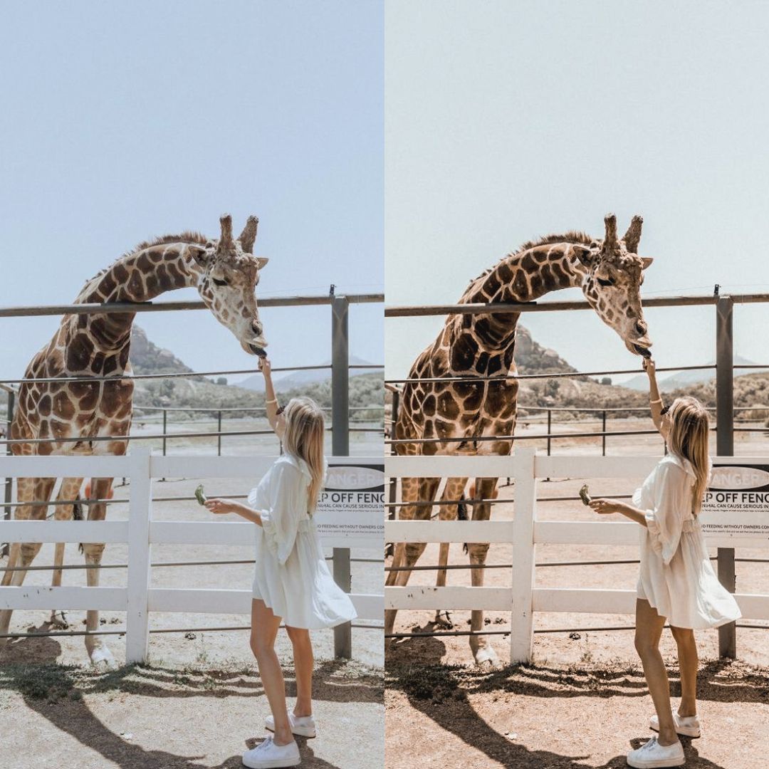 WANDERLUST - ArtistryTone